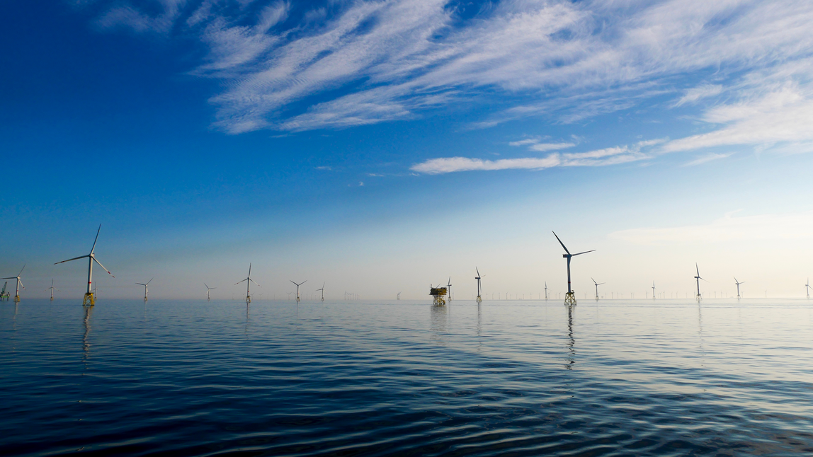 Offshore wind farm with substation